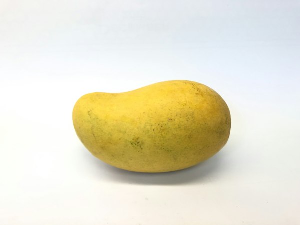 مانجو طازة